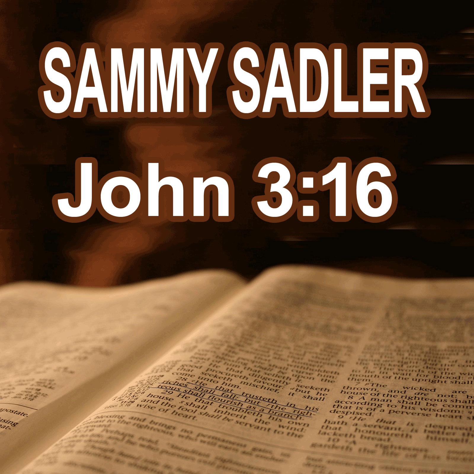 Art for John 3:16 by Sammy Sadler