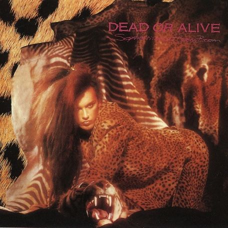 Art for That's The Way (I Like It) by Dead Or Alive