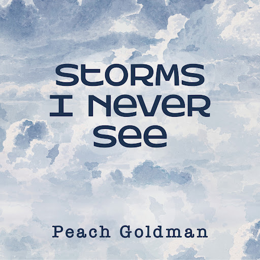 Artwork for Storms I Never See