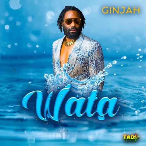 Artwork for Wata