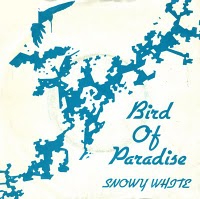 Art for Snowy White - Bird Of Paradise by Snowy White