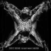 Art for Don't Think They Know (feat. Aaliyah) by Chris Brown