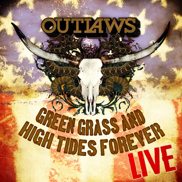 Art for Green Grass and High Tides (Live) by The Outlaws