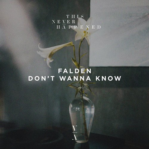 Art for Don't Wanna Know (Original Mix) by Falden