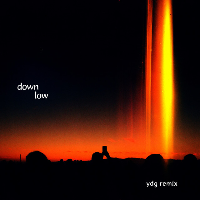 Artwork for Down Low - YDG Remix