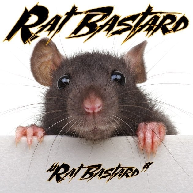Art for The Rat by Rat Bastard