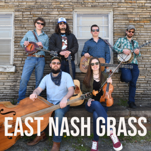 Art for Mountain Bluebird by East Nash Grass