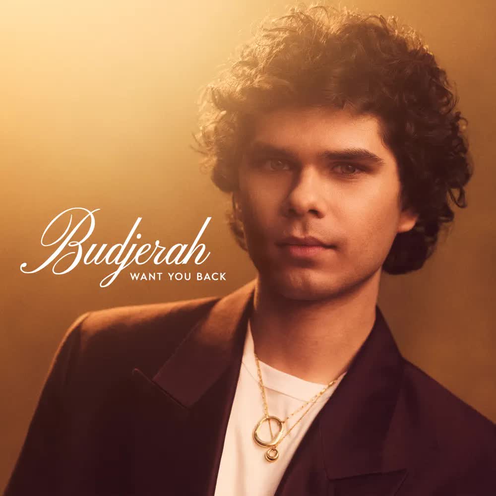 Artwork for Want You Back