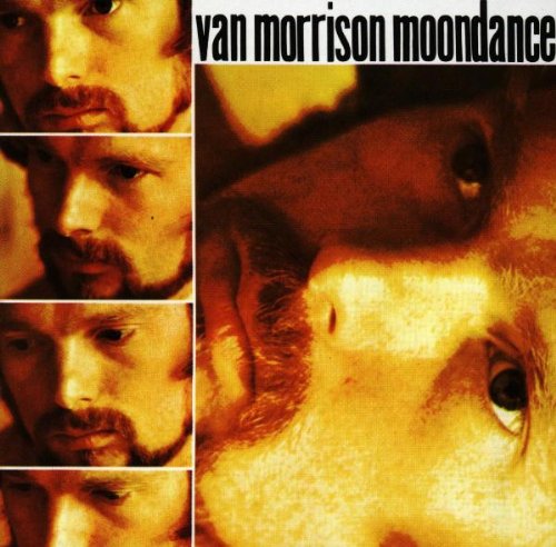 Art for Moondance by Van Morrison