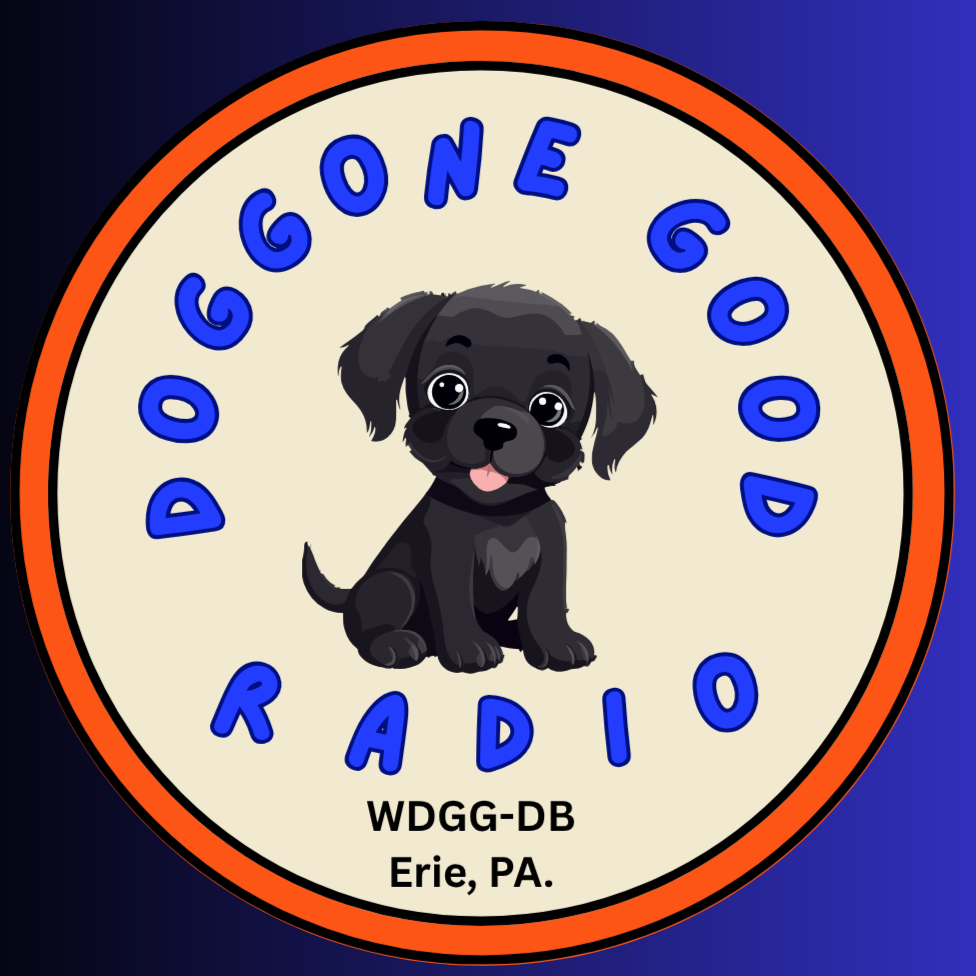 Doggone Good Radio WDGG-DB Erie, Pennsylvania