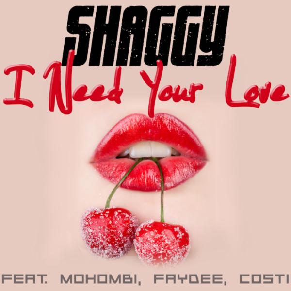 Art for I Need Your Love by Shaggy feat. Mohombi, Faydee, Costi