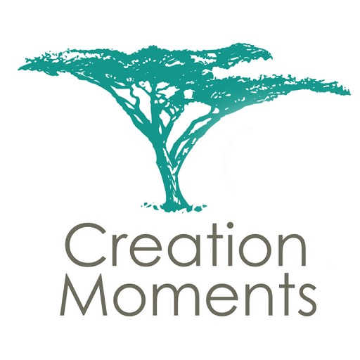 Art for Creation Moment 165-27 by Creation Moments
