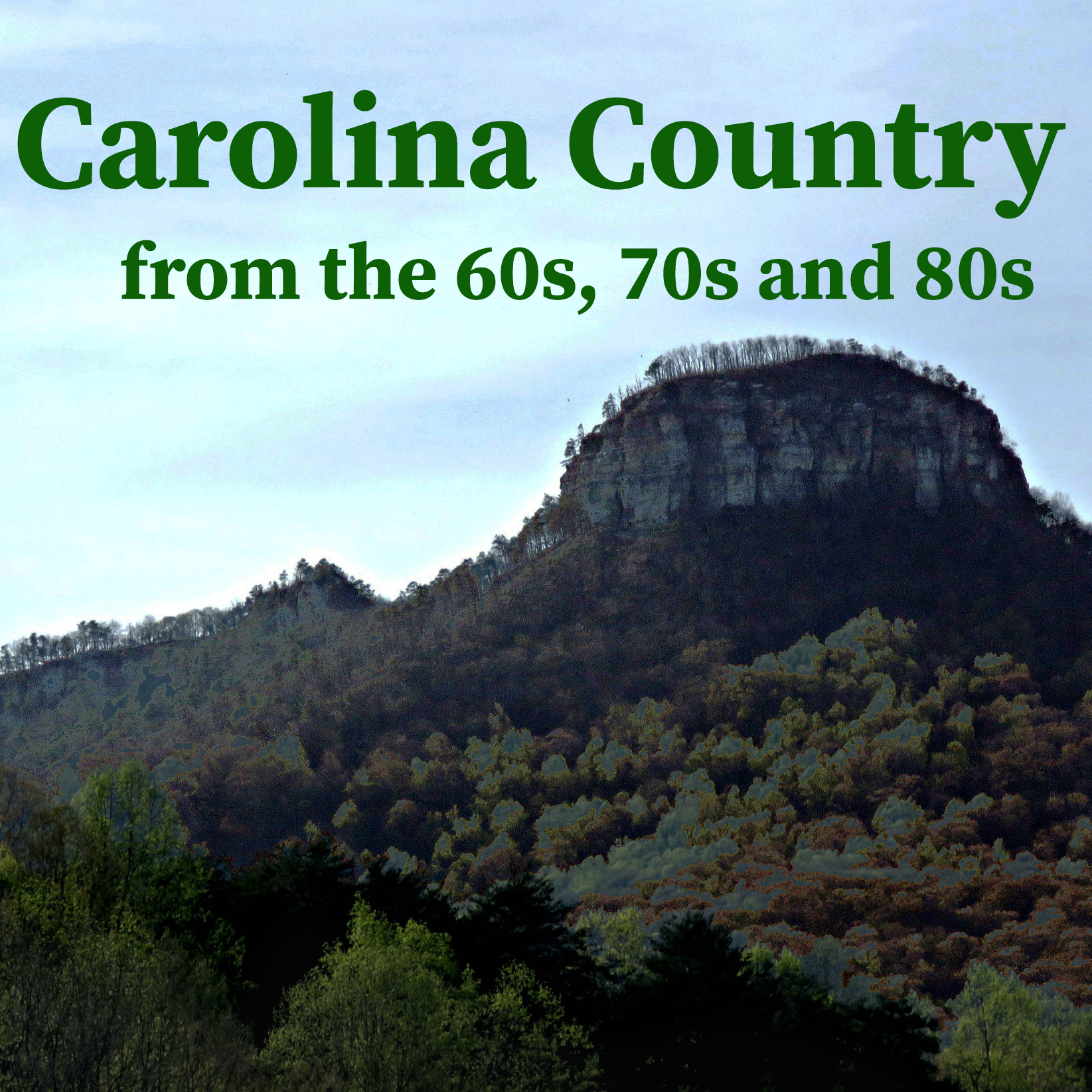 Carolina Country logo