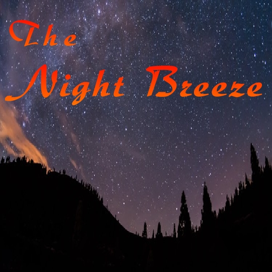 The Night Breeze logo