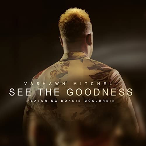 Art for See the Goodness (feat. Donnie McClurkin) by VaShawn MItchell