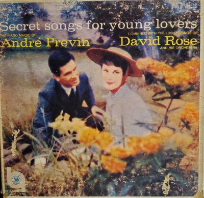 Art for Young And Tender by Andre Previn & David Rose Orchestra