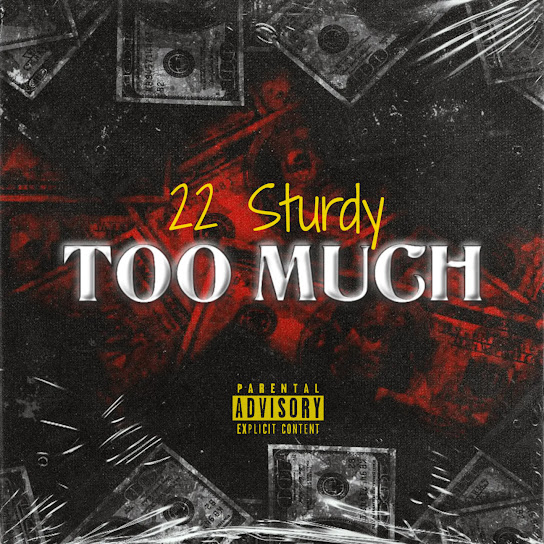 Art for Too Much by 22 Sturdy