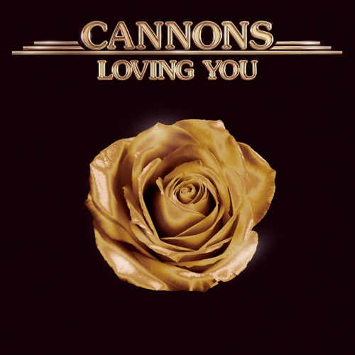Art for Loving You by Cannons