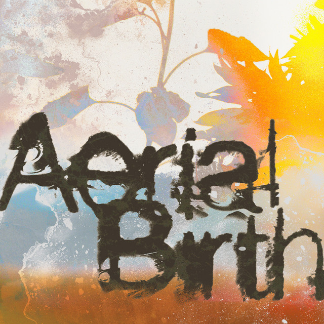 Aerial Birth kapağı