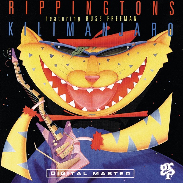 Art for Northern Lights (feat. Russ Freeman) by The Rippingtons