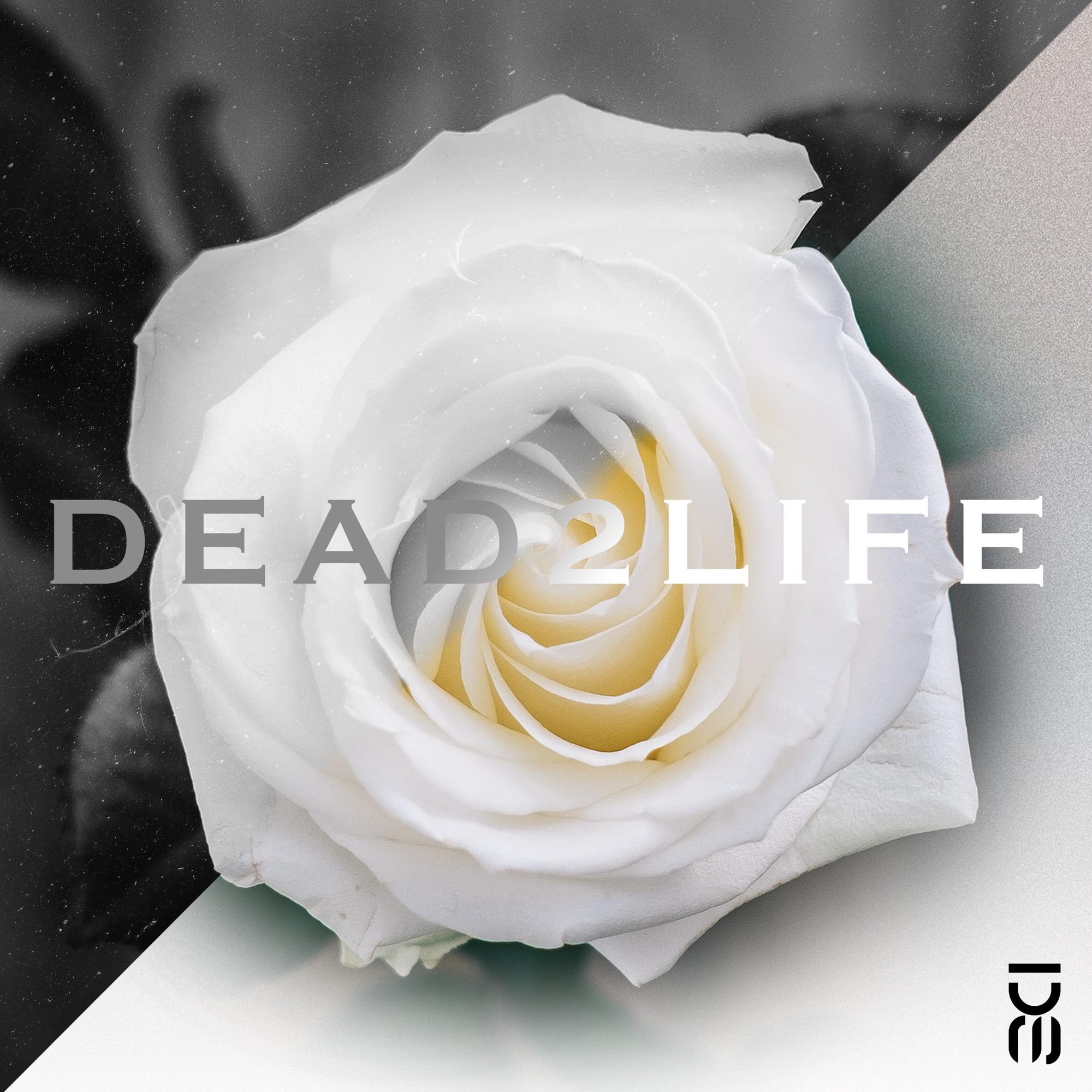 Art for Dead2Life by Dustin Starks