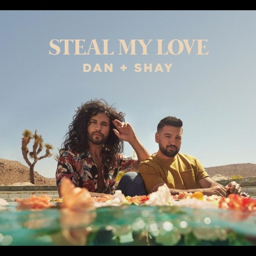 Art for Steal My Love (PO Intro Edit - Clean) by Dan + Shay