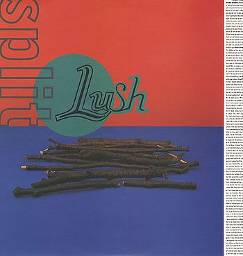 Art for Hypocrite by Lush