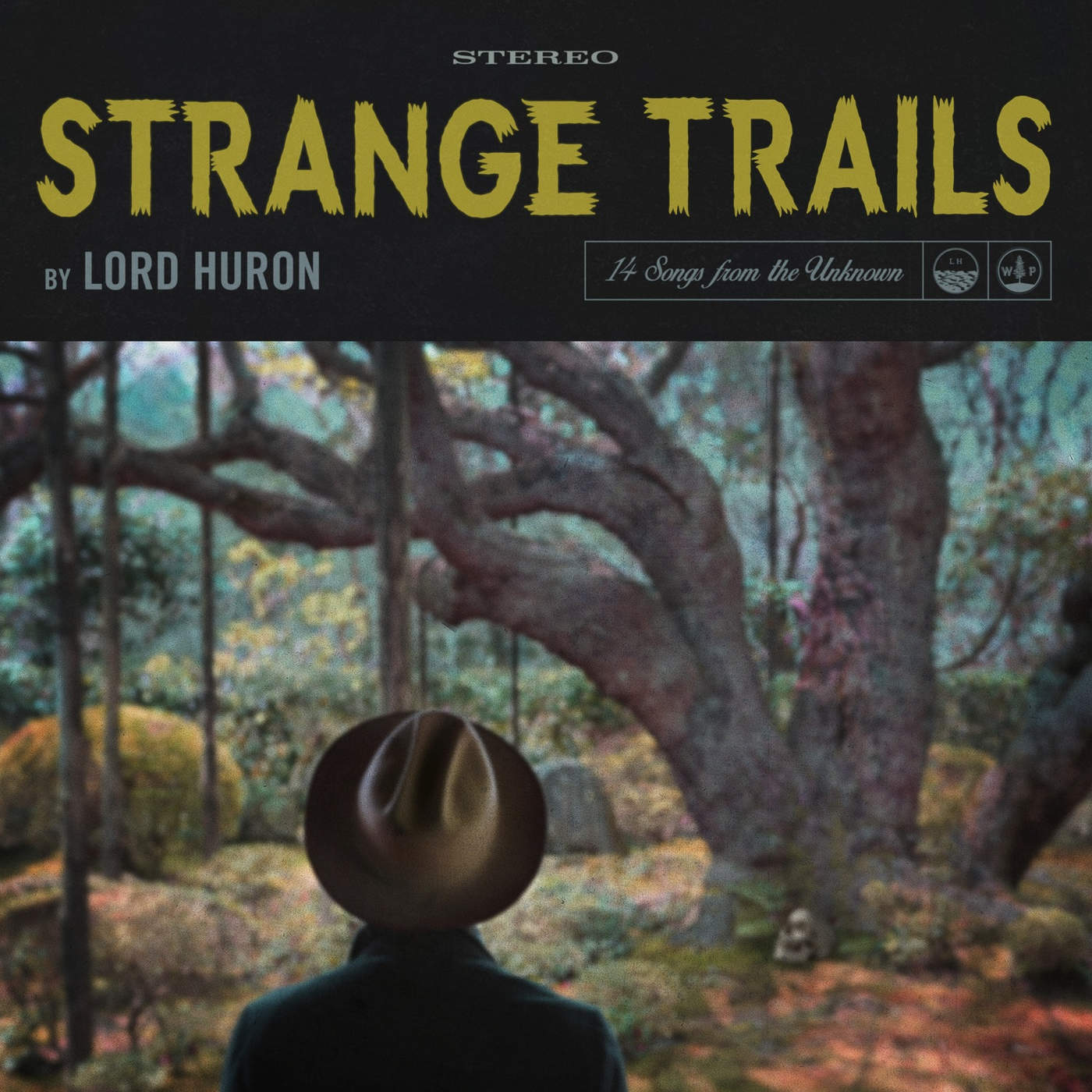 Art for Frozen Pines by Lord Huron