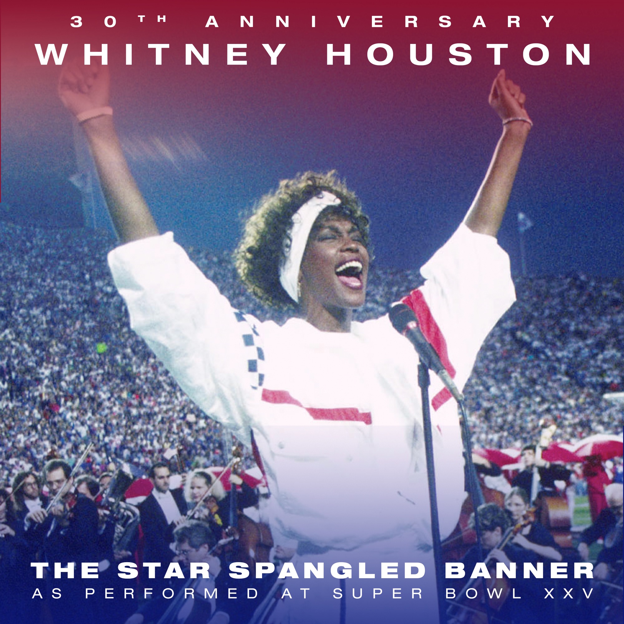 Art for The Star-Spangled Banner by Whitney Houston
