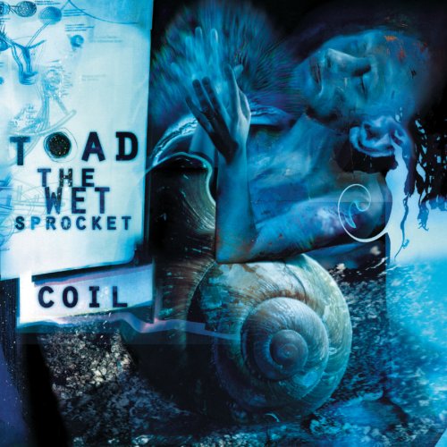 Art for Dam Would Break by Toad the Wet Sprocket