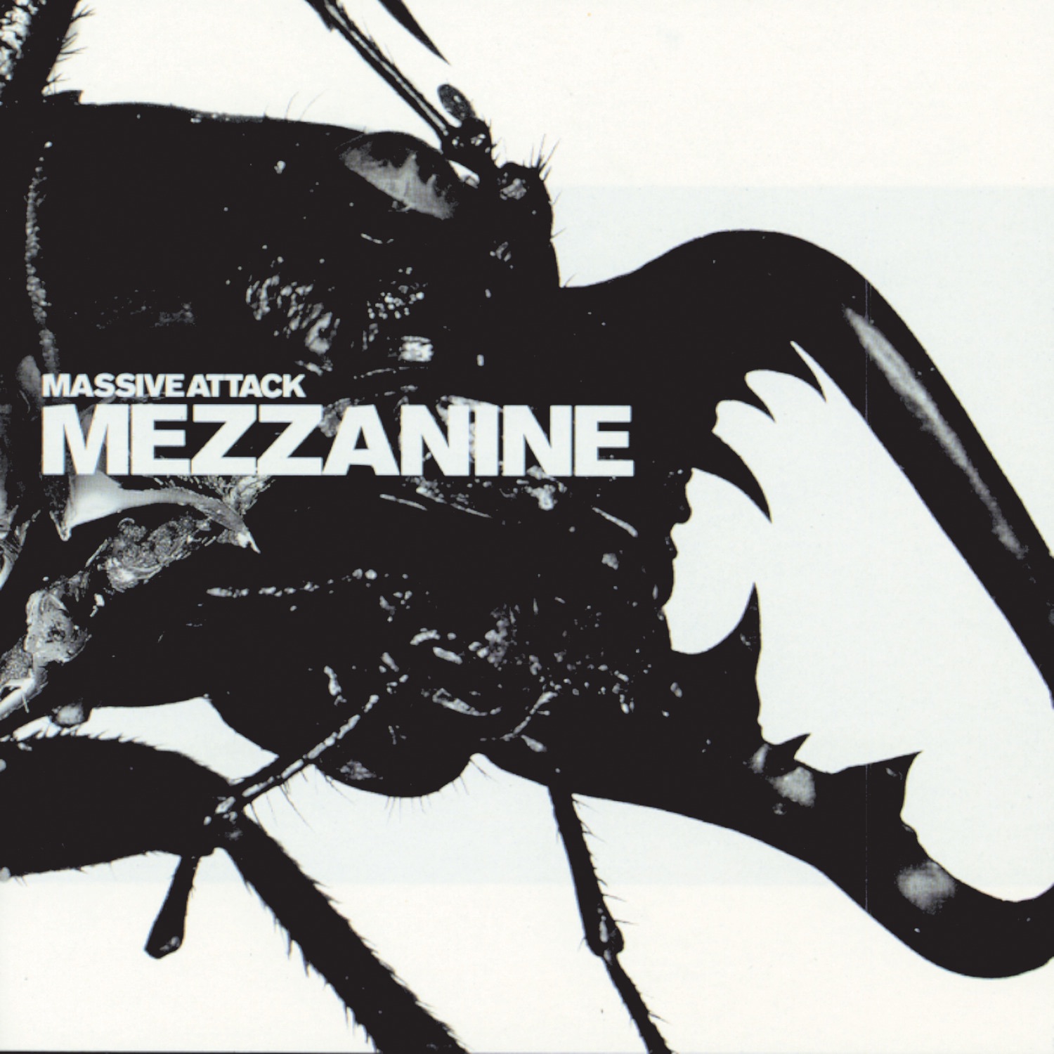 Art for Teardrop by Massive Attack
