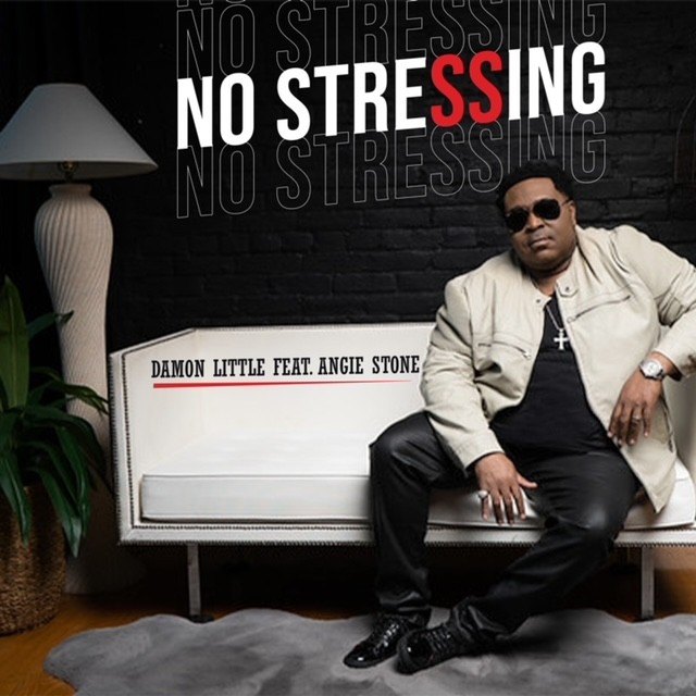 Art for No Stressing feat. Angie Stone by Damon Little