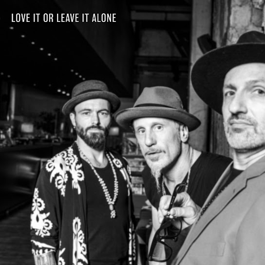 Artwork for Love It Or Leave It Alone
