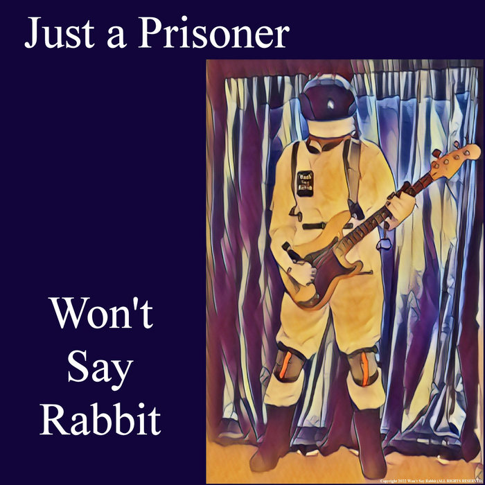 Art for Just a Prisoner by Won't Say Rabbit