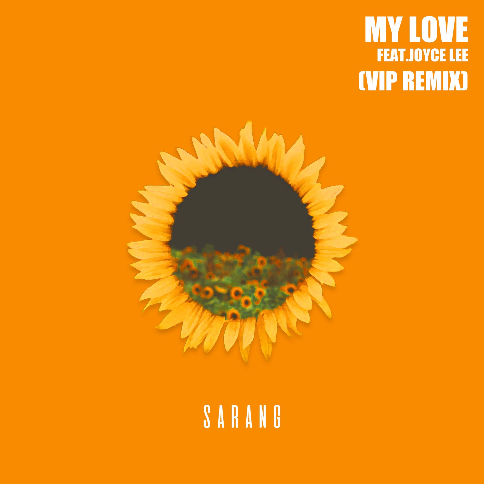 Art for My Love (feat. Joyce Lee) [VIP Remix] by Sarang
