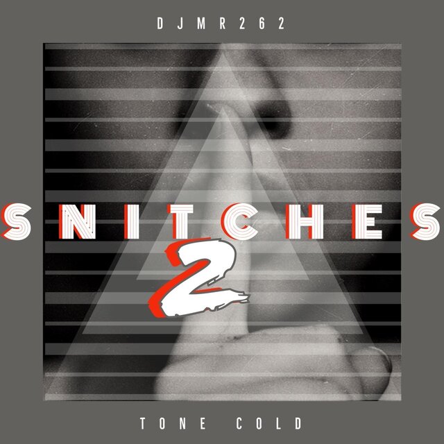 Art for Snitches 2 (feat. Tone Cold Steve Austin) (Radio Edit) by DjMr262