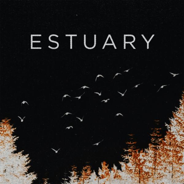 Art for Estuary by Silver Wolf Band