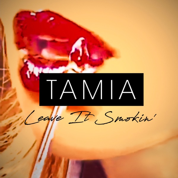 Art for Leave It Smokin' by Tamia