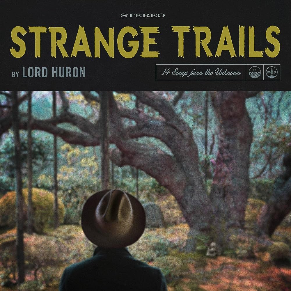 Art for The Night We Met by Lord Huron 