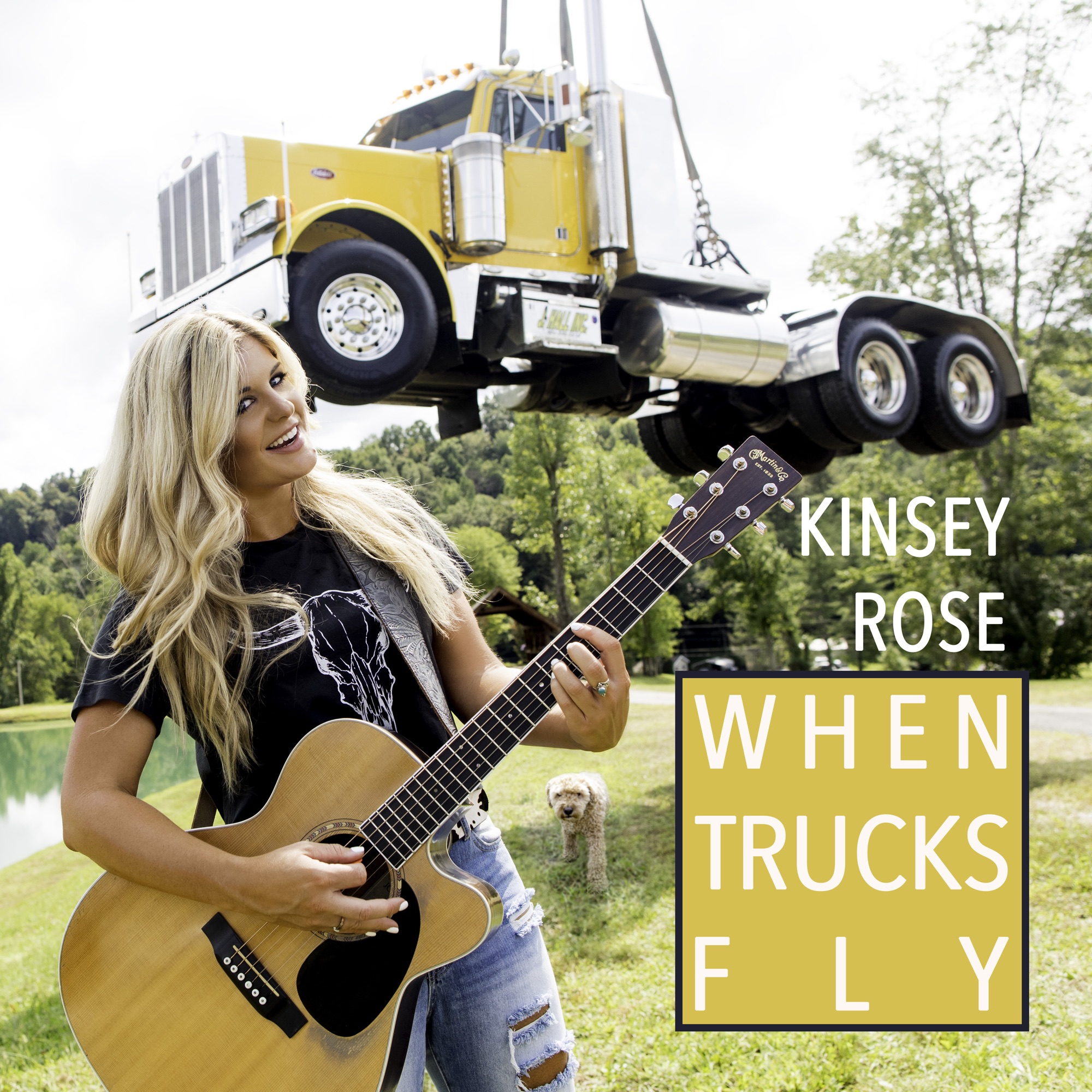 Art for When Trucks Fly by Kinsey Rose