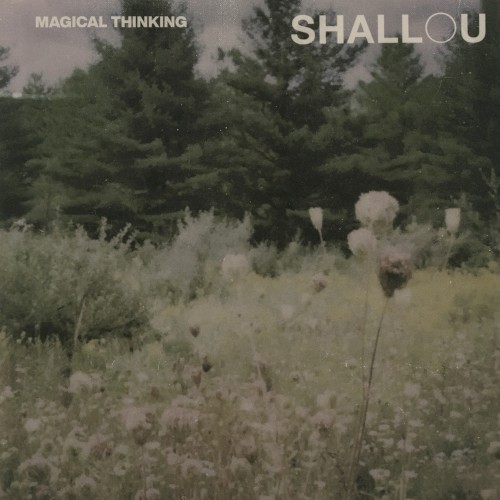 Copertina di Fading