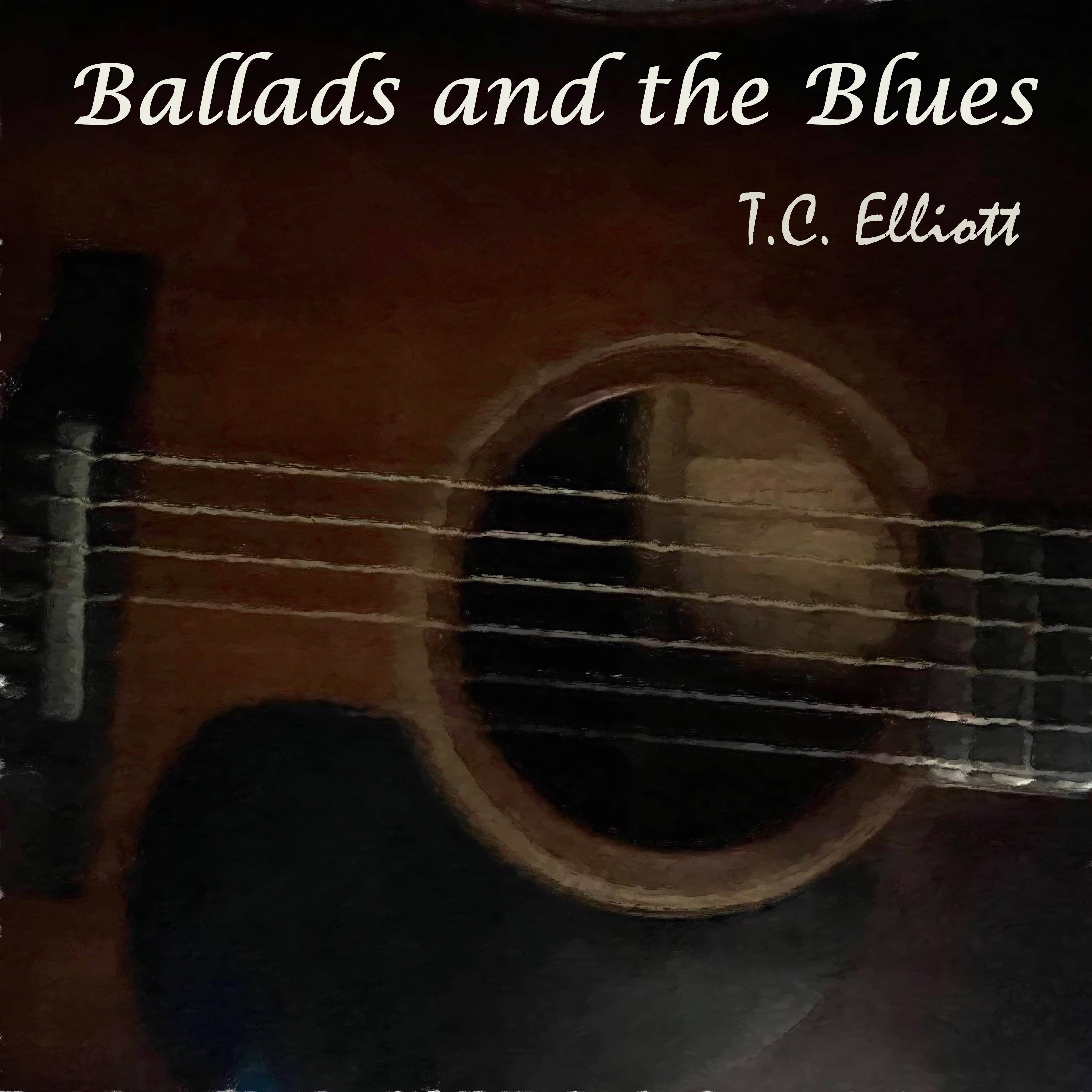 Art for St. Louis Blues Revisited (Acoustic) by T.C. Elliott