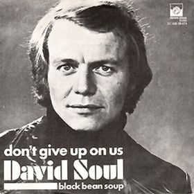 Art for Don't Give Up On Us by David Soul