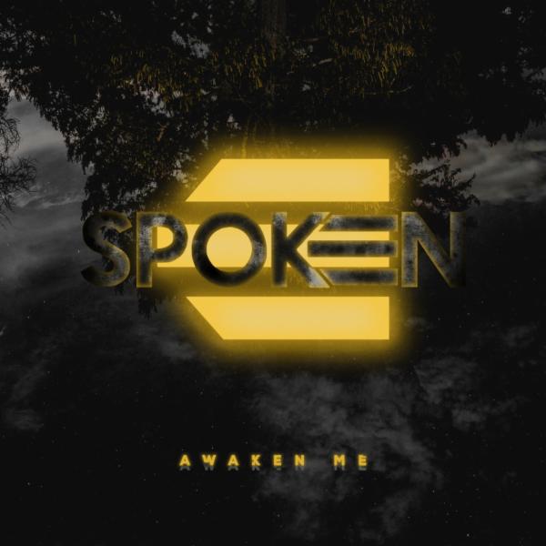 Artwork for Awaken Me