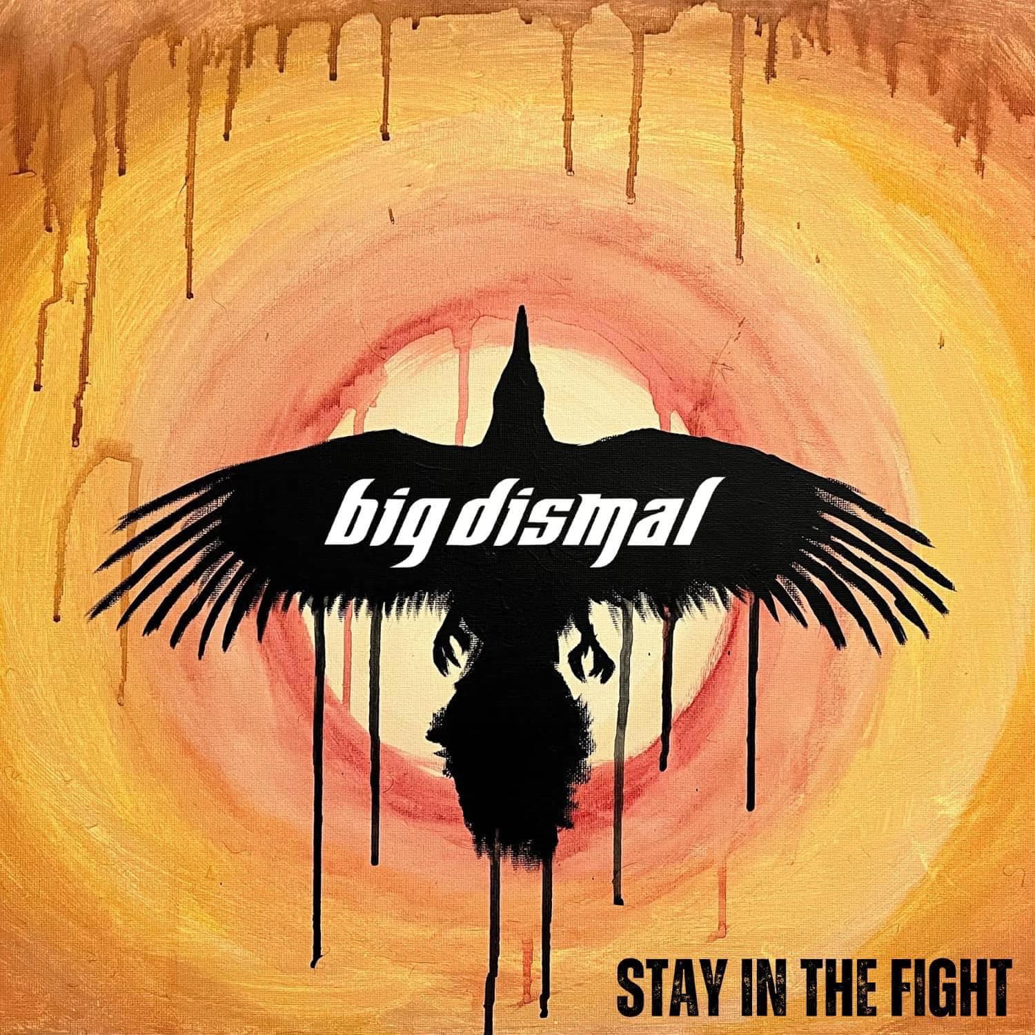 Art for Stay in the Fight by Big Dismal 