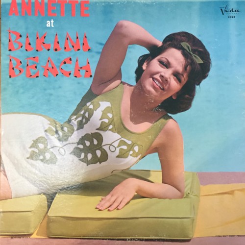 Artwork for Blame It on the Bossa Nova