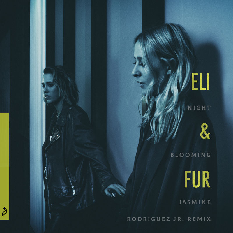 Art for Night Blooming Jasmine (Rodriguez Jr. Remix Edit) by Eli & Fur