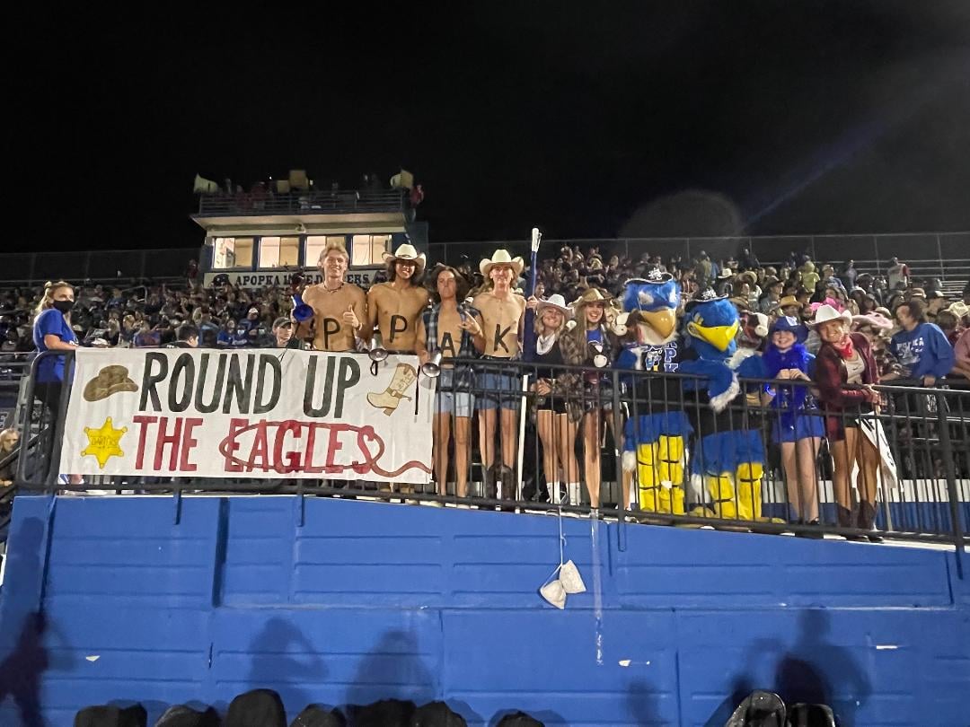 Art for APK...what?  by Papa Teags & the AHS Student Section