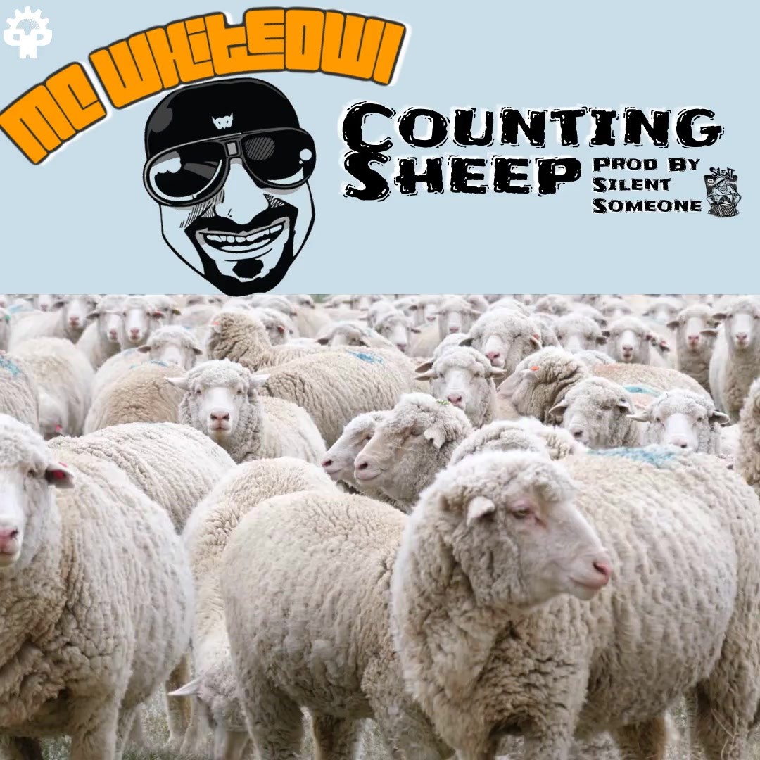Artwork for Counting Sheep