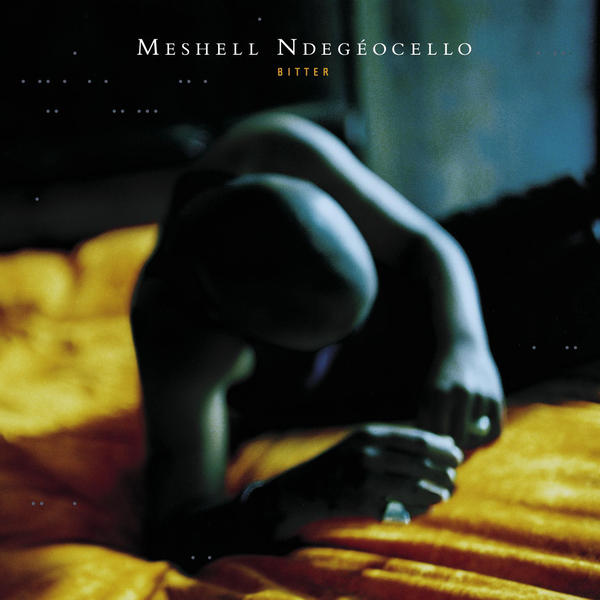 Art for Fool of Me by Meshell Ndegeocello
